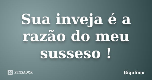 Sua inveja é a razão do meu susseso !... Frase de Bigulimo.