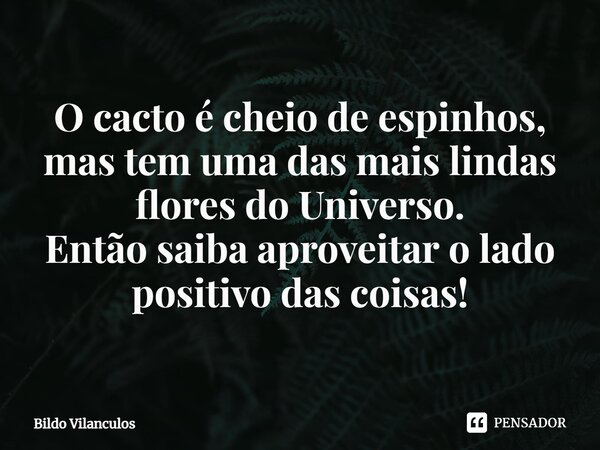 ⁠O cacto é cheio de espinhos, mas tem uma das mais lindas flores do Universo. Então saiba aproveitar o lado positivo das coisas!... Frase de Bildo Vilanculos.