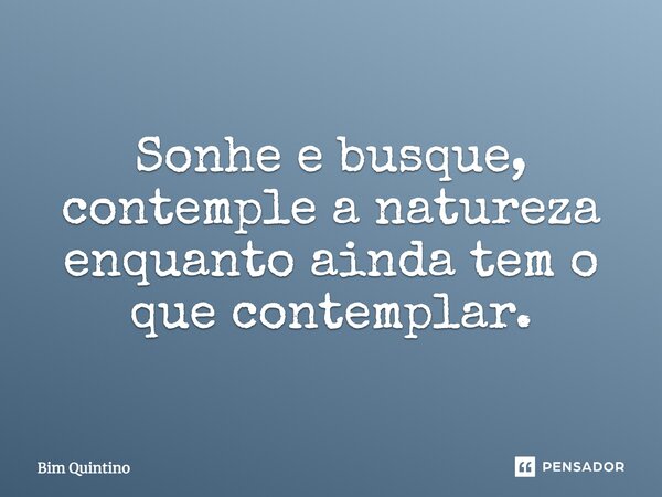 Sonhe e busque, contemple a natureza enquanto ainda tem o que contemplar.... Frase de Bim Quintino.