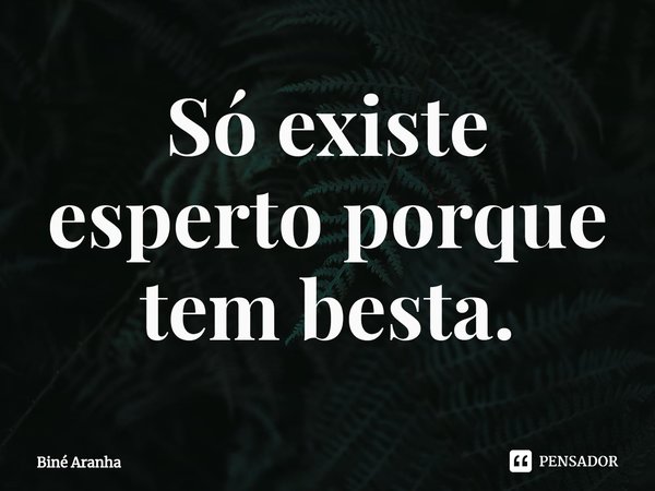 ⁠Só existe esperto porque tem besta.... Frase de Biné Aranha.