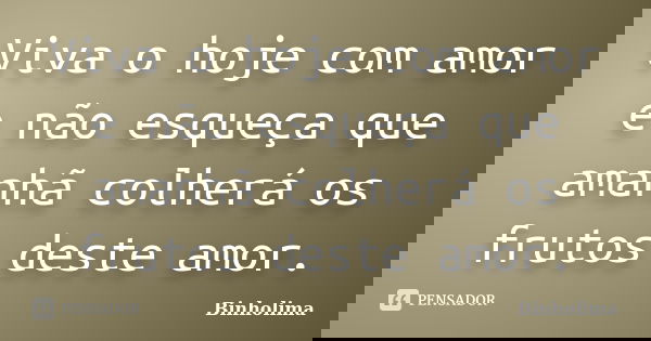 Viva o hoje com amor e não esqueça que amanhã colherá os frutos deste amor.... Frase de Binholima.