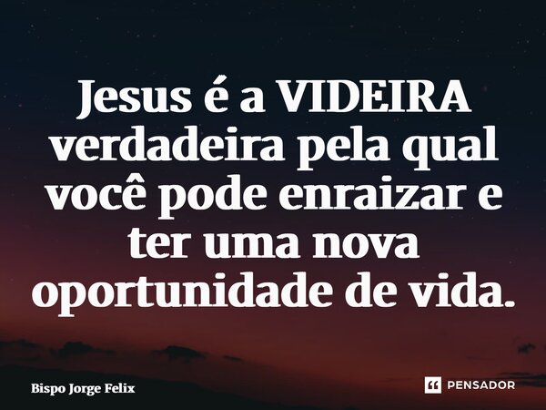 ⁠Jesus é a VIDEIRA verdadeira pela qual você pode enraizar e ter uma nova oportunidade de vida.... Frase de Bispo Jorge Felix.