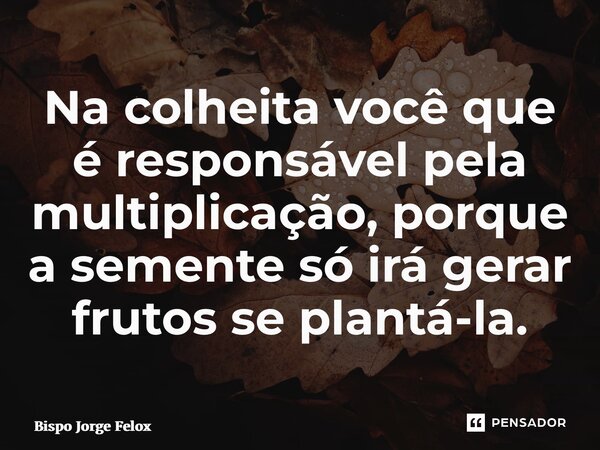 ⁠Na colheita você que é responsável pela multiplicação, porque a semente só irá gerar frutos se plantá-la.... Frase de Bispo Jorge Felix.