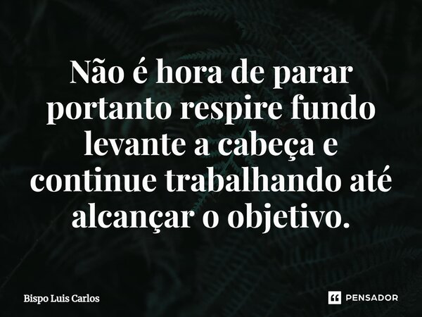 ⁠Não é hora de parar portanto respire fundo levante a cabeça e continue trabalhando até alcançar o objetivo.... Frase de Bispo Luis Carlos.