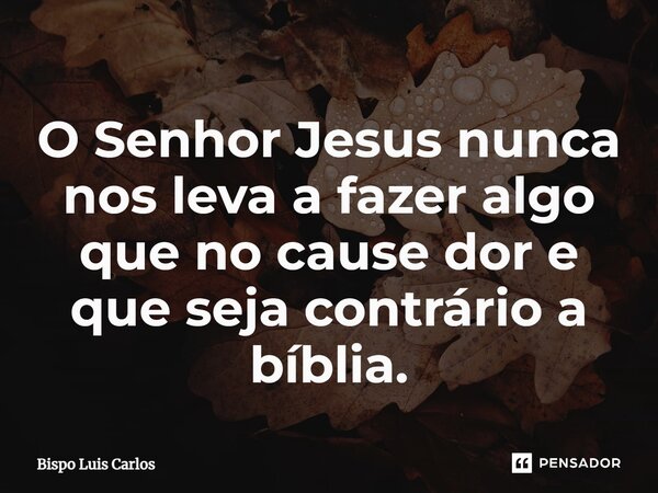 ⁠O Senhor Jesus nunca nos leva a fazer algo que no cause dor e que seja contrário a bíblia.... Frase de Bispo Luis Carlos.