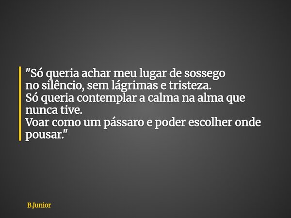 "Só queria achar meu lugar de sossego no silêncio, sem lágrimas e tristeza. Só queria contemplar a calma na alma que nunca tive. Voar como um pássaro e pod... Frase de B.Junior.