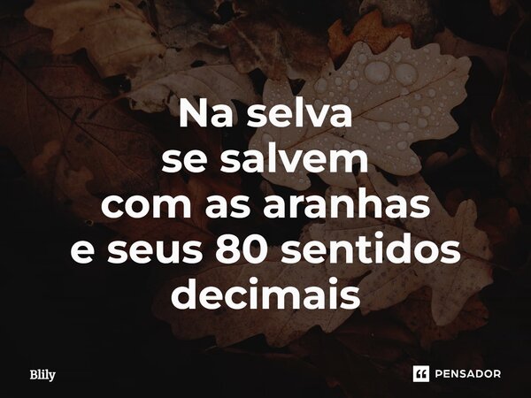 ⁠Na selva se salvem com as aranhas e seus 80 sentidos decimais... Frase de Blily.