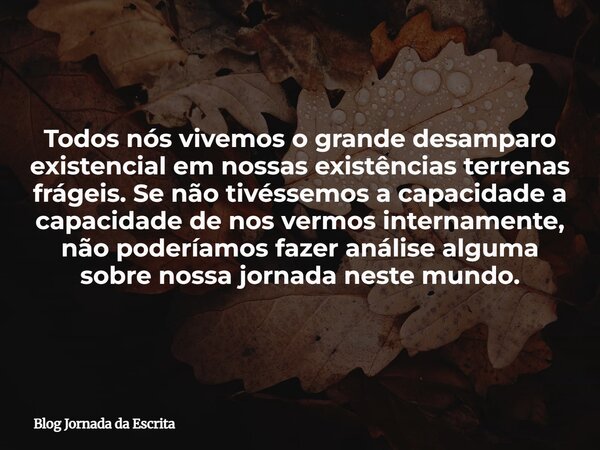 Todos nós vivemos o grande desamparo existencial em nossas existências terrenas frágeis. Se não tivéssemos a capacidade a capacidade de nos vermos internamente,... Frase de Blog Jornada da Escrita.