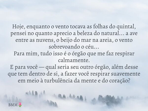 ⁠Hoje, enquanto o vento tocava as folhas do quintal, pensei no quanto aprecio a beleza do natural... a ave entre as nuvens, o beijo do mar na areia, o vento sob... Frase de BMM.
