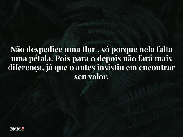 ⁠Não despedice uma flor , só porque nela falta uma pétala. Pois para o depois não fará mais diferença, já que o antes insistiu em encontrar seu valor.... Frase de BMM.