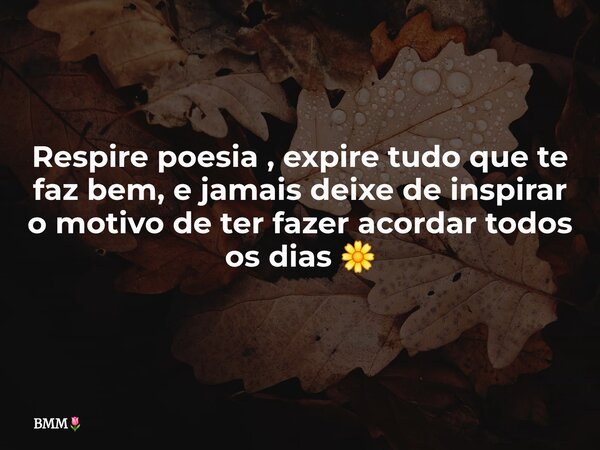 Respire poesia , expire tudo que te faz bem, e jamais deixe de inspirar o motivo de ter fazer acordar todos os dias⁠ 🌼... Frase de BMM.