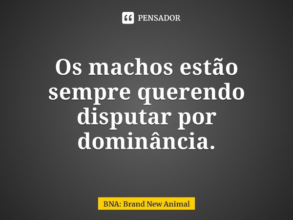 ⁠Os machos estão sempre querendo disputar por dominância.... Frase de BNA: Brand New Animal.