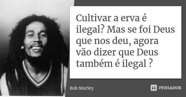 Cultivar a erva é ilegal? Mas se foi Deus que nos deu, agora vão dizer que Deus também é ilegal ?... Frase de Bob Marley.