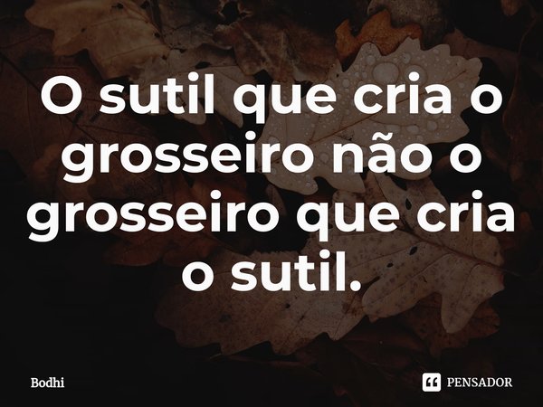 O sutil que cria o grosseiro não o grosseiro que cria o sutil.... Frase de Bodhi.