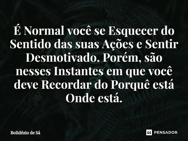 ⁠É Normal você se Esquecer do Sentido das suas Ações e Sentir Desmotivado. Porém, são nesses Instantes em que você deve Recordar do Porquê está Onde está.... Frase de Bolidézio de Sá.