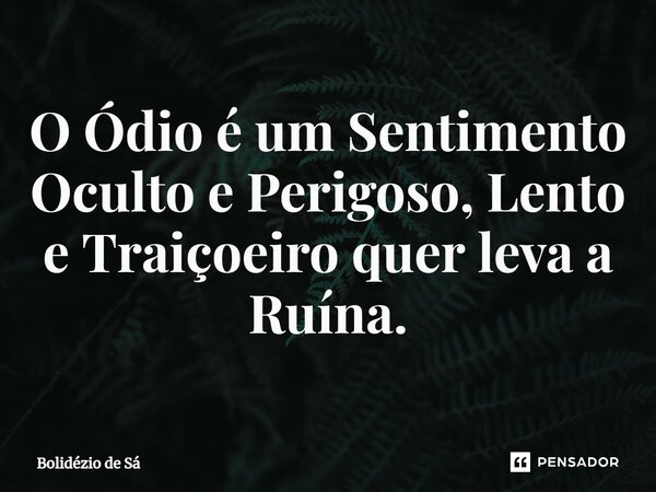 ⁠O Ódio é um Sentimento Oculto e Perigoso, Lento e Traiçoeiro quer leva a Ruína.... Frase de Bolidézio de Sá.