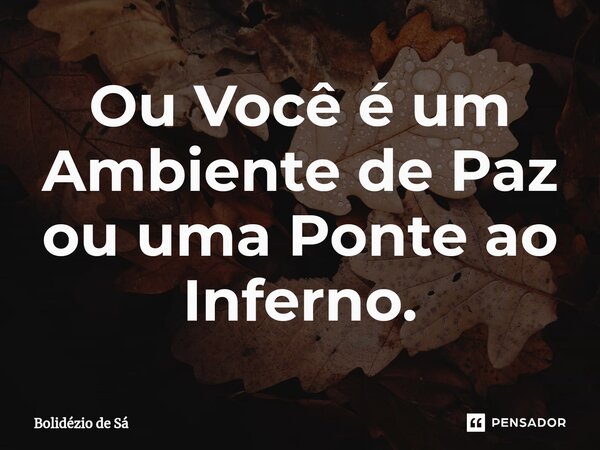 ⁠Ou Você é um Ambiente de Paz ou uma Ponte ao Inferno.... Frase de Bolidézio de Sá.