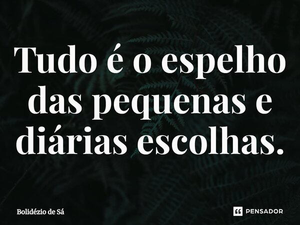 ⁠Tudo é o espelho das pequenas e diárias escolhas.... Frase de Bolidézio de Sá.