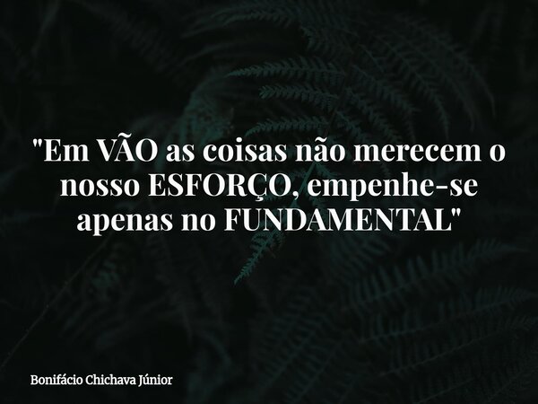 "Em VÃO as coisas não merecem o nosso ESFORÇO, empenhe-se apenas no FUNDAMENTAL"... Frase de Bonifácio Chichava Júnior.
