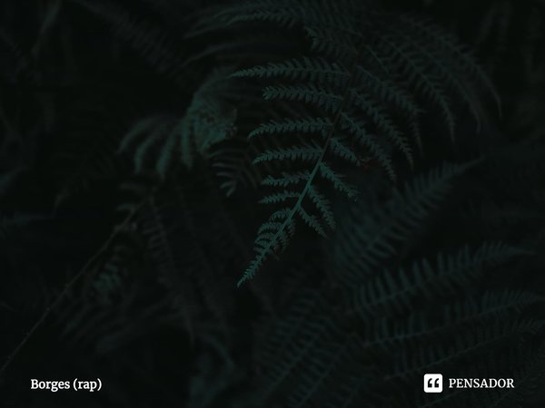 ⁠Durmo sem saber se vou acordar
Recuar no morro nunca foi marcar
Tentam impedir a gente de sonhar
Quem não conhece, o que sobra é julgar... Frase de Borges (rap).