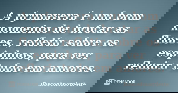 A primavera é um bom momento de brotar as flores, refletir sobre os espinhos, para ver reflorir tudo em amores.... Frase de Boscodonordeste.