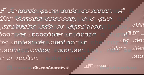 É sensato quem sabe esperar. A flor demora crescer, e o que vem primeiro são os espinhos, por isso se acostume a furar os dedos antes de cheirar a flor. Sem sac... Frase de Boscodonordeste.