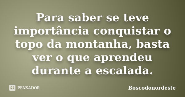 Para saber se teve importância conquistar o topo da montanha, basta ver o que aprendeu durante a escalada.... Frase de Boscodonordeste.