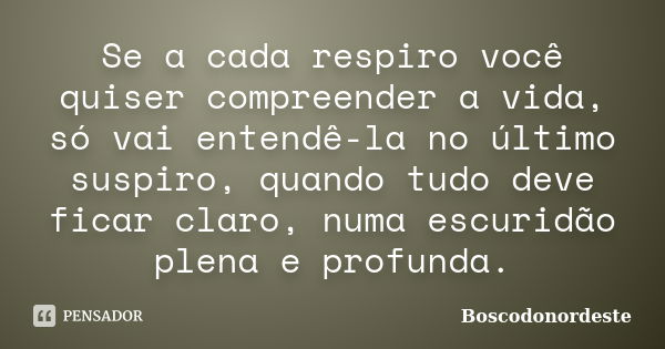 Se a cada respiro você quiser compreender a vida, só vai entendê-la no último suspiro, quando tudo deve ficar claro, numa escuridão plena e profunda.... Frase de Boscodonordeste.