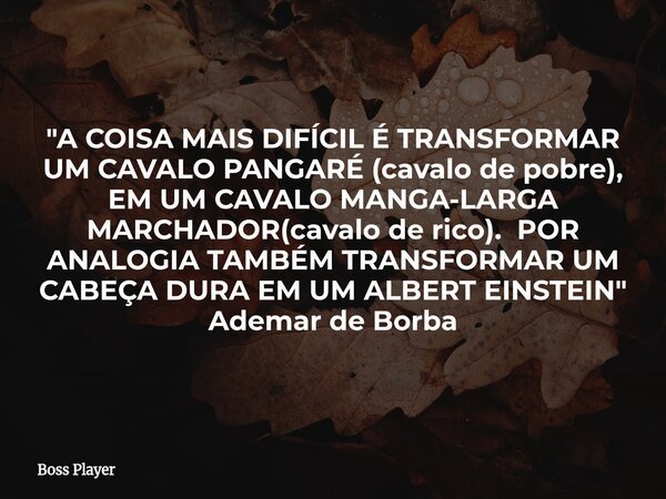 "A COISA MAIS DIFÍCIL É TRANSFORMAR UM CAVALO PANGARÉ (cavalo de pobre), EM UM CAVALO MANGA-LARGA MARCHADOR(cavalo de rico). POR ANALOGIA TAMBÉM TRANSFORMA... Frase de Boss Player.