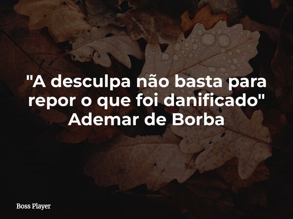 "A desculpa não basta para repor o que foi danificado" Ademar de Borba... Frase de Boss Player.