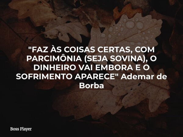 "FAZ ÀS COISAS CERTAS, COM PARCIMÔNIA (SEJA SOVINA), O DINHEIRO VAI EMBORA E O SOFRIMENTO APARECE" Ademar de Borba... Frase de Boss Player.