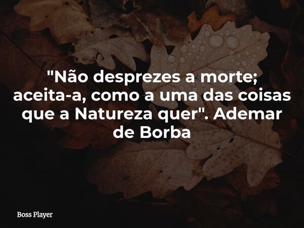 "Não desprezes a morte; aceita-a, como a uma das coisas que a Natureza quer". Ademar de Borba... Frase de Boss Player.