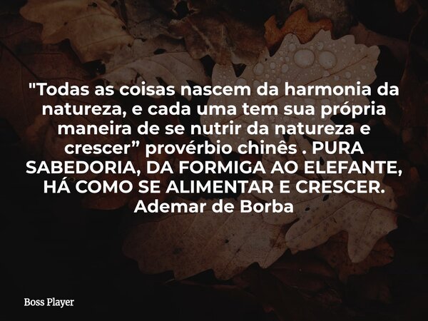 "Todas as coisas nascem da harmonia da natureza, e cada uma tem sua própria maneira de se nutrir da natureza e crescer” provérbio chinês . PURA SABEDORIA, ... Frase de Boss Player.