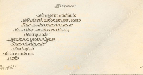Céu negro, nublado. Não havia rubor em seu rosto. Fria, assim como a chuva. Era o fim; joelhos em britas, Destroçadas. Lágrima ou gota d'água... Como distinguir... Frase de BreNN.