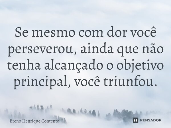 ⁠Se mesmo com dor você perseverou, ainda que não tenha alcançado o objetivo principal, você triunfou.... Frase de Breno Henrique Contente.