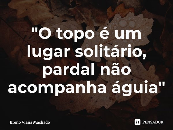 ⁠"O topo é um lugar solitário, pardal não acompanha águia"... Frase de Breno Viana Machado.