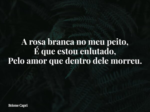 A rosa branca no meu peito, É que estou enlutado, Pelo amor que dentro dele morreu.... Frase de Brione Capri.