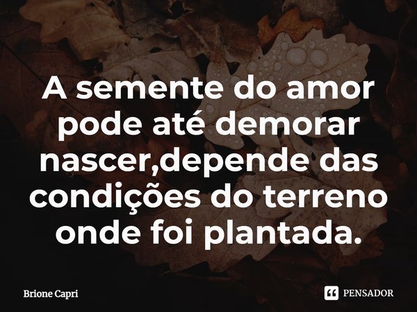 ⁠A semente do amor pode até demorar nascer,depende das condições do terreno onde foi plantada.... Frase de Brione Capri.