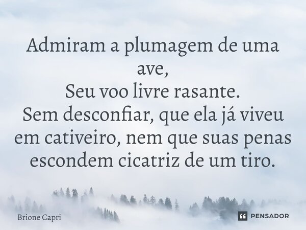 ⁠Admiram a plumagem de uma ave, Seu voo livre rasante. Sem desconfiar, que ela já viveu em cativeiro, nem que suas penas escondem cicatriz de um tiro.... Frase de Brione Capri.