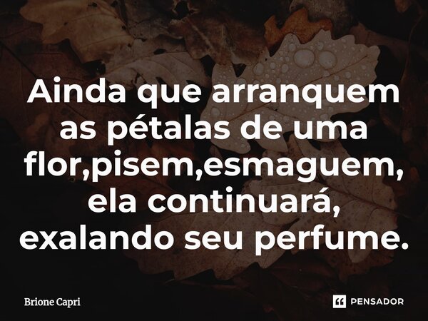 ⁠Ainda que arranquem as pétalas de uma flor,pisem,esmaguem,ela continuará, exalando seu perfume.... Frase de Brione Capri.