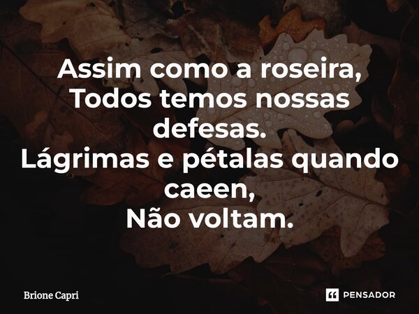 Assim como a roseira, Todos temos nossas defesas. Lágrimas e pétalas quando caeen, Não voltam⁠.... Frase de Brione Capri.