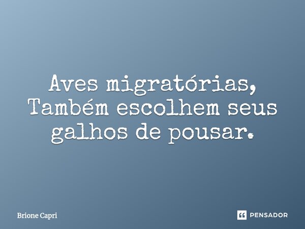 Aves migratórias, Também escolhem seus galhos de pousar.... Frase de Brione Capri.