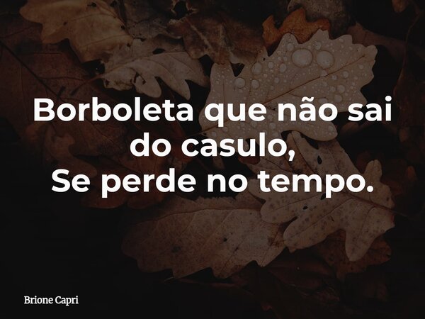 Borboleta que não sai do casulo, Se perde no tempo.... Frase de Brione Capri.