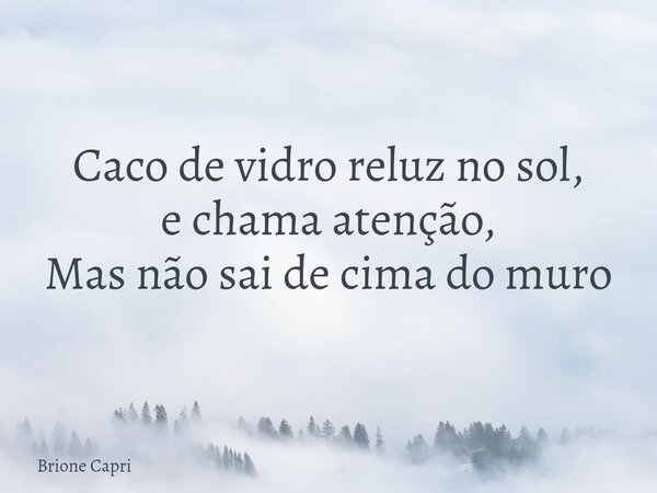 Caco de vidro reluz no sol, e chama atenção, Mas não sai de cima do muro... Frase de Brione Capri.