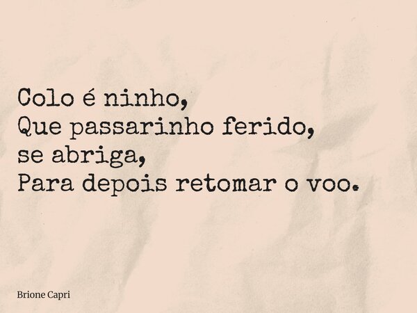 Colo é ninho, Que passarinho ferido, se abriga, Para depois retomar o voo.... Frase de Brione Capri.