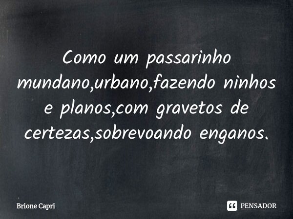 Como um passarinho mundano,urbano,fazendo ninhos e planos,com gravetos de certezas,sobrevoando enganos.... Frase de Brione Capri.