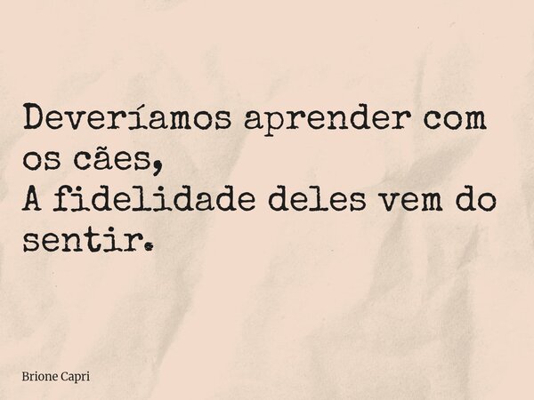 Deveríamos aprender com os cães, A fidelidade deles vem do sentir.... Frase de Brione Capri.