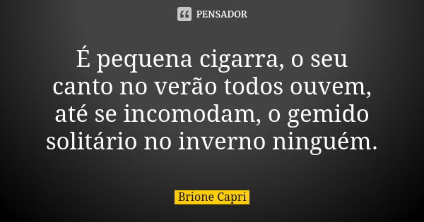 É pequena cigarra, o seu canto no verão todos ouvem, até se incomodam, o gemido solitário no inverno ninguém.... Frase de Brione Capri.