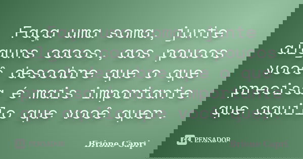 Faça uma soma, junte alguns cacos, aos poucos você descobre que o que precisa é mais importante que aquilo que você quer.... Frase de Brione Capri.