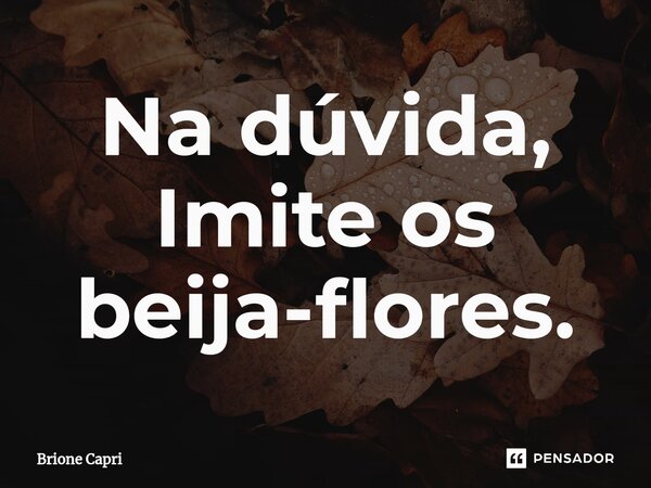 ⁠Na dúvida, Imite os beija-flores.... Frase de Brione Capri.